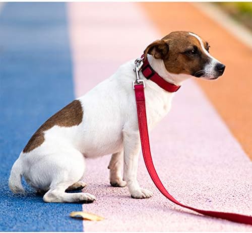 Pet köpek tasması ayarlanabilir kopça Toka köpek tasmaları Kafa Tasmaları, Boyut S/M / L Köpek Büyük