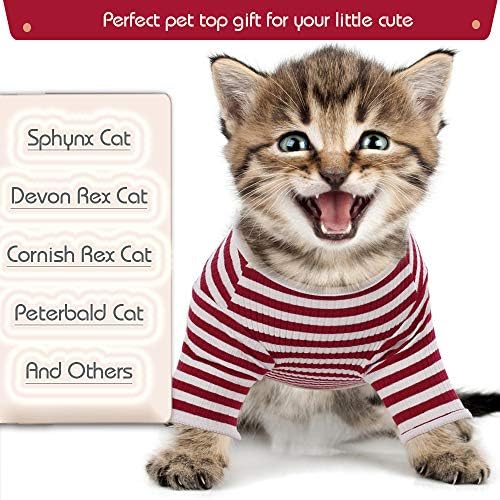 Bonaweıte Sphynx Tüysüz Kediler Gömlek, Kollu Cornish Rex Yavru Gökkuşağı Çizgili Tişörtler, Nefes Alabilen Kedi Giyim