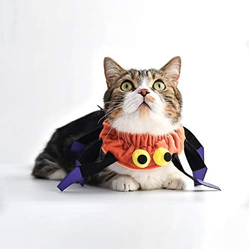 Innopet Cadılar Bayramı Örümcek Yaka Küçük ve Orta Ölçekli Köpekler ve Kediler için, Komik Pet Kostüm Aksesuarları