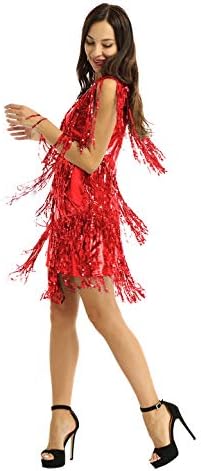 YEAHDOR kadın Sparkly Sequins Uzun Saçak Sineklik Elbise Latin Tango Oryantal 1920 s Dans Kostümleri