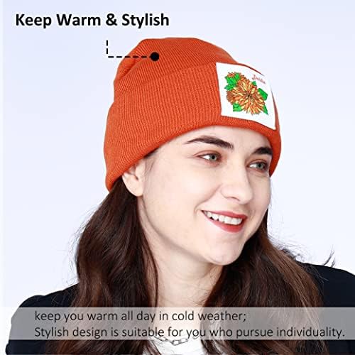 Joywant Örgü Bere Şapka Erkekler için Hımbıl Yumuşak Akrilik Çocuklar Kadınlar Kış Şapka Kafatası Kapaklar Tüm Sezon